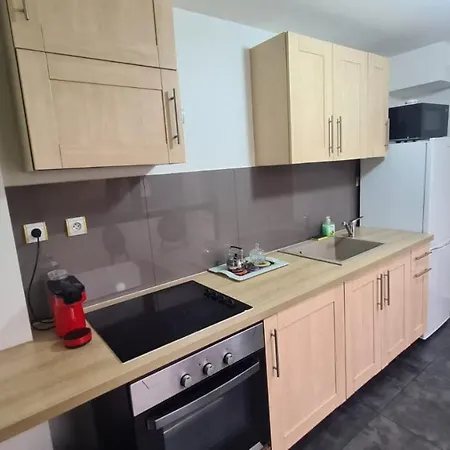 Appartement Selestat Entre Colmar Et Strasbourg Extérieur photo