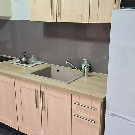 Appartement Selestat Entre Colmar Et Strasbourg Extérieur photo