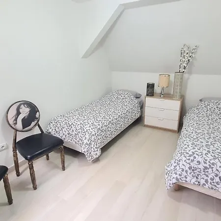 Appartement Selestat Entre Colmar Et Strasbourg Extérieur photo